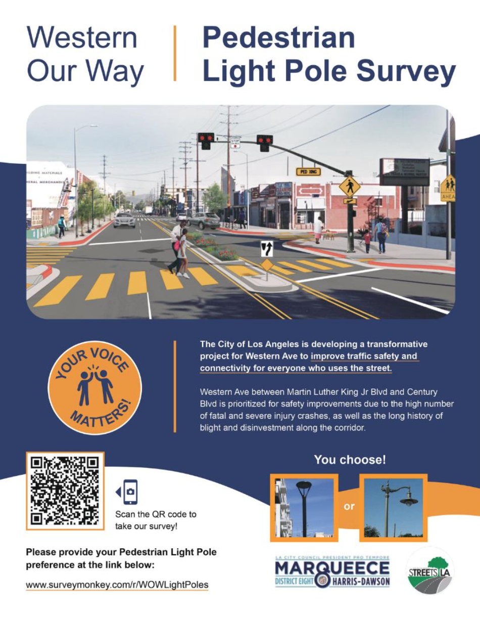 Pedestrian Light Pole Survey
